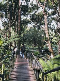 Rear view of people walking on footbridge in forest