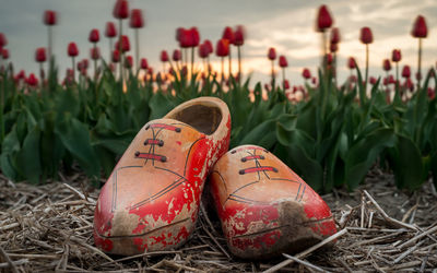 Close-up of red shoes on field
