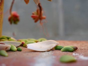 Close-up of fruits on table