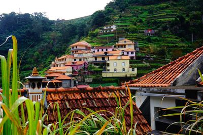 Houses and buildings in town