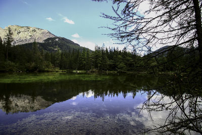 Scenic view of lake in forest against sky