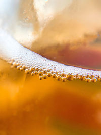 Close-up of bubbles in glass