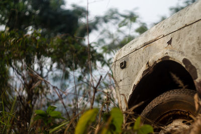 Close-up of built structure against trees