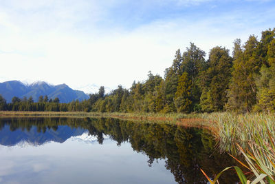 Scenic view of lake by trees against sky