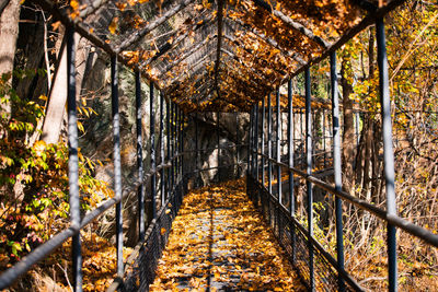 A trail down to the hudson river in upstate new york