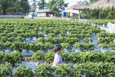 Rear view of woman standing amidst plants