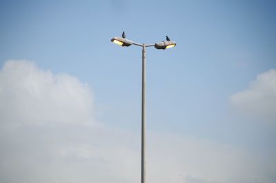 Low angle view of pigeons perching on street light against sky