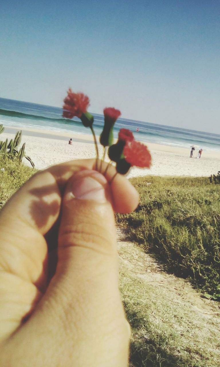 LOW SECTION OF MAN WITH FLOWERS ON BEACH