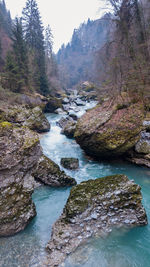 River flowing through rocks in forest