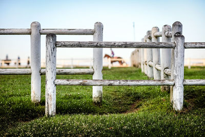 Horse paddock