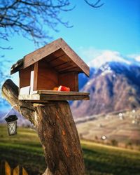 Close-up of birdhouse on tree trunk against buildings
