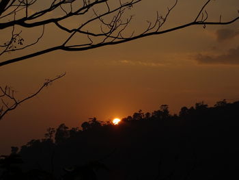 Low angle view of silhouette trees against sky during sunset