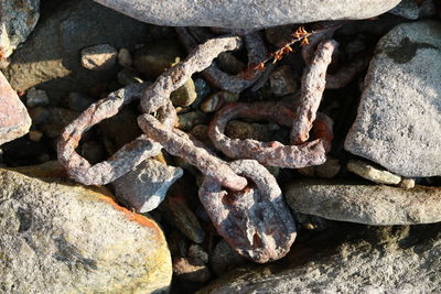 High angle view of stones on rock