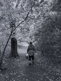 Woman walking a dog in woodlands