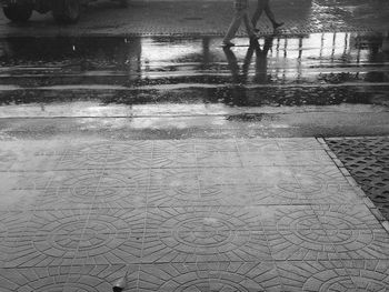 Reflection of trees in water