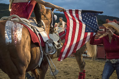 Close-up of horse