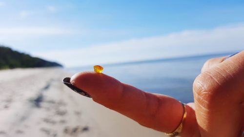 Close-up of person holding stick in sea against sky