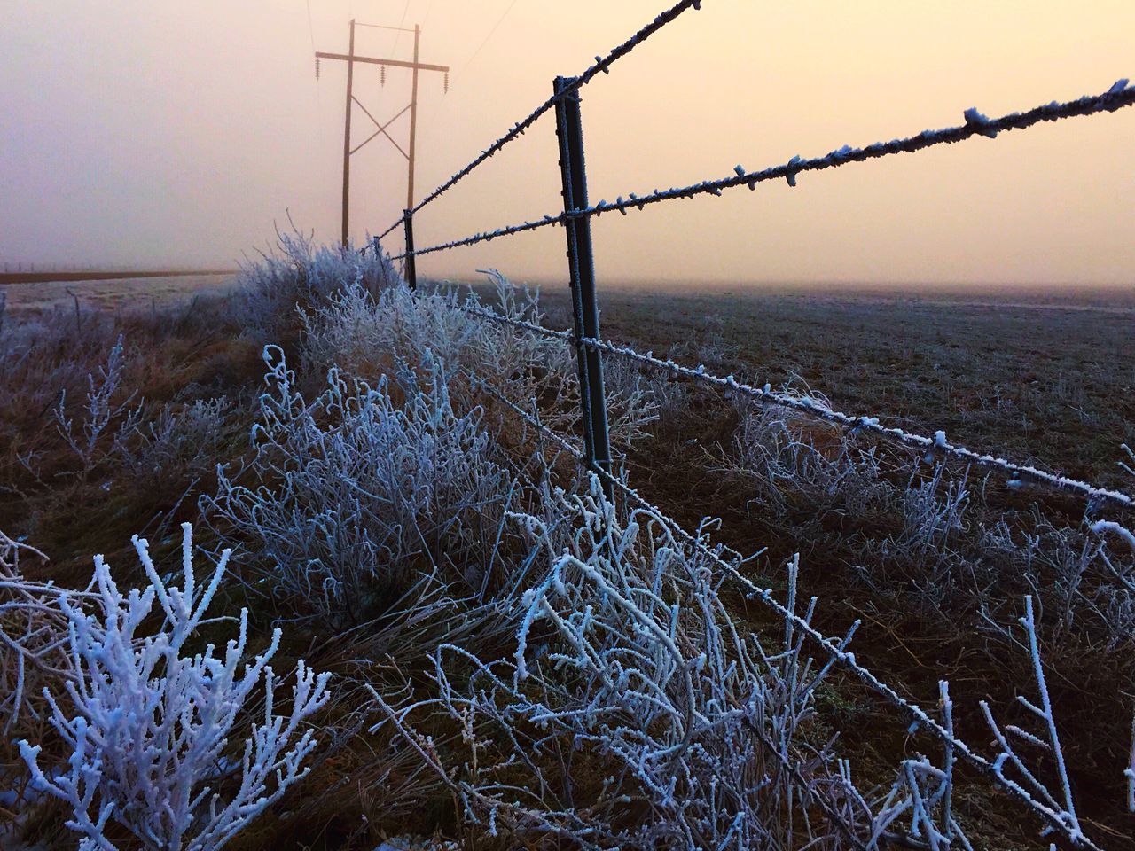 connection, barbed wire, fence, sunset, clear sky, chainlink fence, electricity pylon, protection, nature, sky, focus on foreground, metal, safety, cable, power line, outdoors, no people, tranquility, electricity, plant