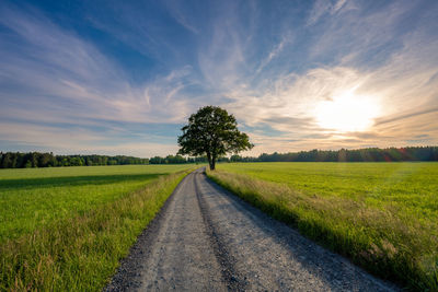 Road amidst field against sky