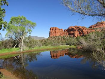 Reflection of trees in water