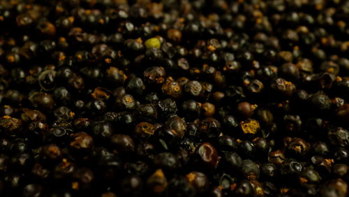 Full frame shot of dried berries