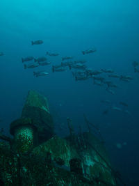 Aerial view of sea