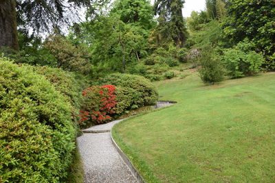 Footpath amidst trees in park