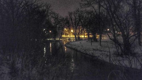 Snow covered trees against sky at night