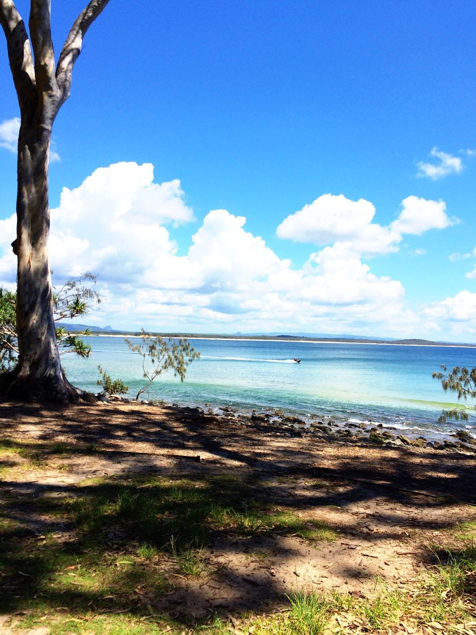 water, tranquil scene, tranquility, sky, scenics, beauty in nature, nature, tree, blue, sea, lake, bare tree, grass, cloud, horizon over water, branch, idyllic, cloud - sky, non-urban scene, landscape