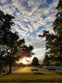 Trees on field against sky during sunset