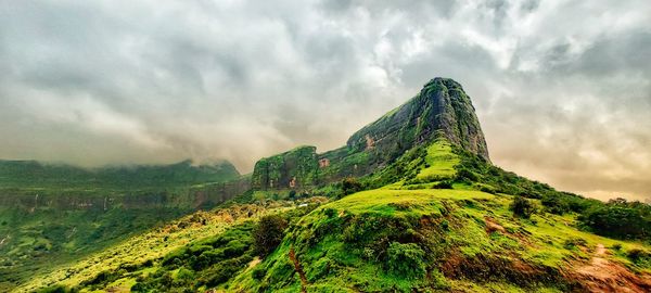 nature