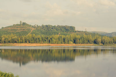 Scenic view of lake by trees against sky