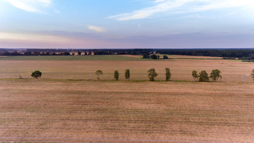 Hay bales on field against sky