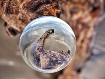 High angle view of water in glass