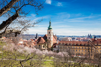 Prague city seen from the petrin gardens at the begining of spring