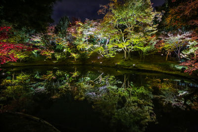 Trees by lake against sky at night