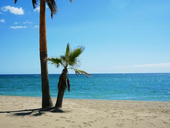 Scenic view of sea against blue sky