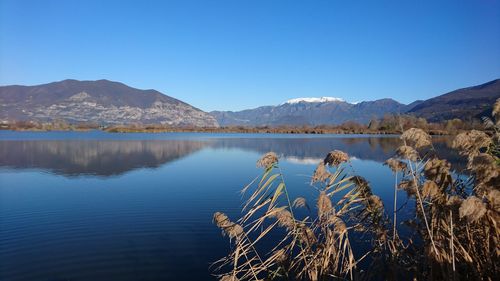 Scenic view of lake against clear blue sky