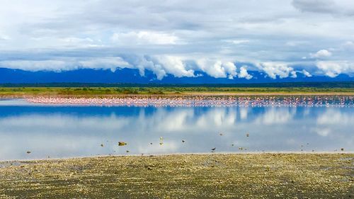 Bird flying over lake against cloudy sky