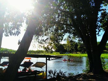 Trees by lake against sky