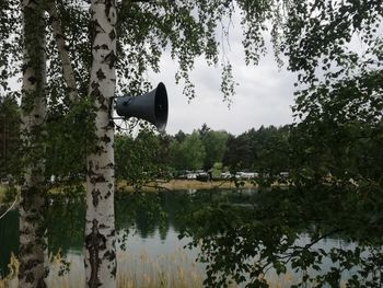 Scenic view of trees against sky