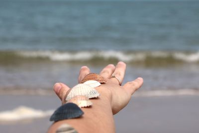 Close-up of hand holding sea