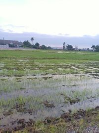 Scenic view of field against sky