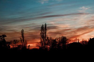 Silhouette trees against dramatic sky