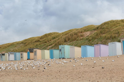 Beach huts in texel, the netherlands