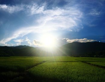 Scenic view of field against sky