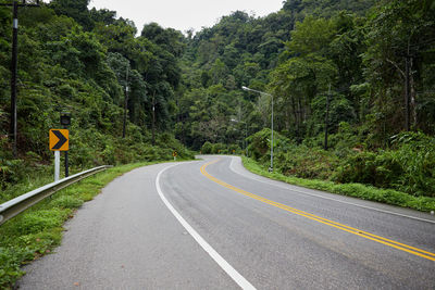 Asphalt road through the tropical forest