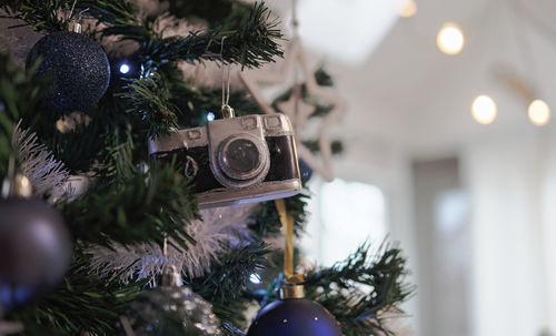 Close-up of christmas tree