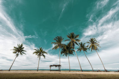 Palm trees on beach against sky