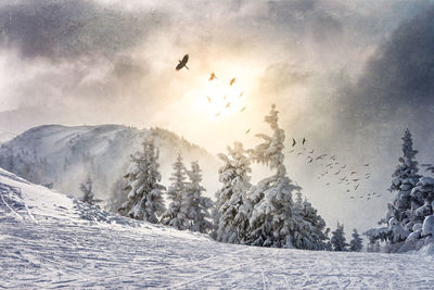 Birds flying over snowcapped mountains against sky